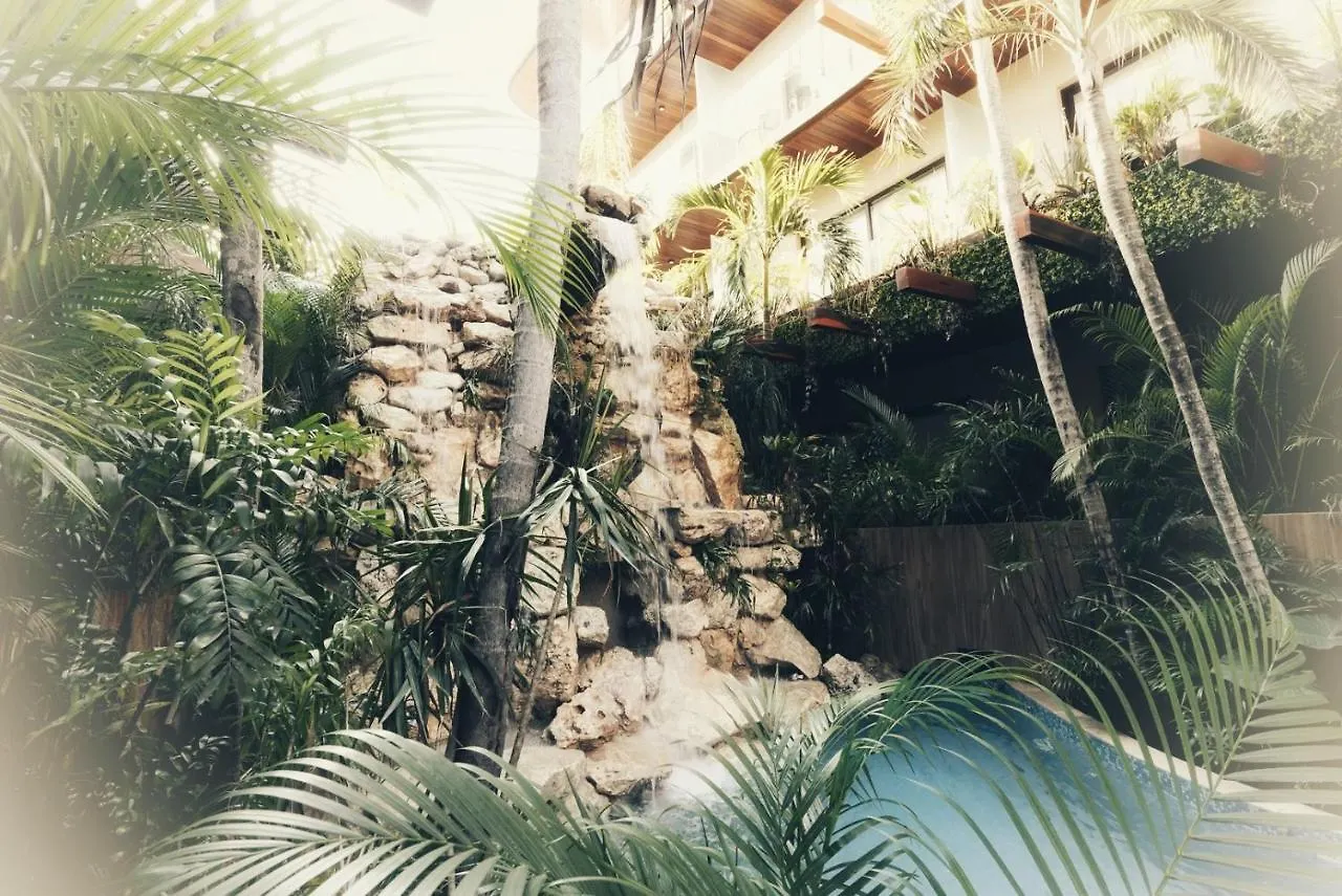 Estudio Asteroide Tulum 0*,  Mexico